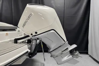 Thumbnail von Sea Ray SDX 250 Outboard