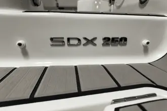 Thumbnail von Sea Ray SDX 250 Outboard