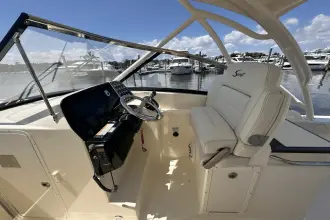 Thumbnail von Scout 255 Dorado