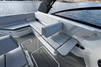 Thumbnail von Sea Ray SDX 250 Surf