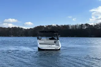 Thumbnail von Sea Ray SDX 250 Surf