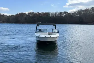 Thumbnail von Sea Ray SDX 250 Surf