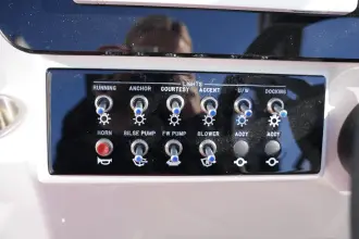 Thumbnail von Sea Ray SDX 250 Surf