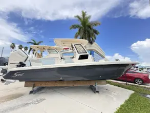 Thumbnail von Scout 281 XSS