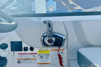 Thumbnail von Sea Ray SDX 250