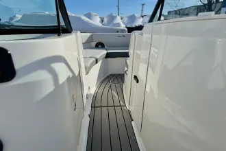 Thumbnail von Sea Ray SDX 250