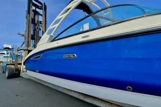 Thumbnail von Sea Ray SDX 250