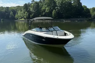 Thumbnail von Sea Ray SPX 210