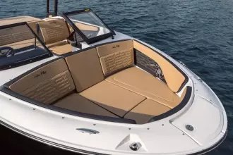 Thumbnail von Sea Ray SPX 190 Outboard