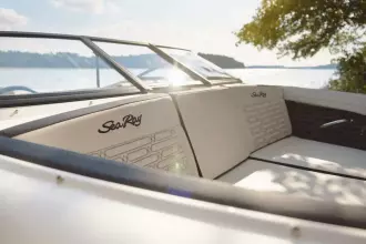 Thumbnail von Sea Ray SPX 190 Outboard