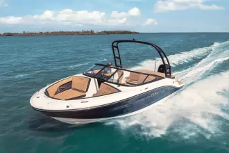 Thumbnail von Sea Ray SPX 190 Outboard