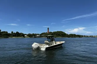 Thumbnail von Scout 231 XSB