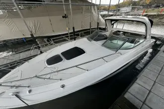 Thumbnail von Sea Ray Sundancer 310