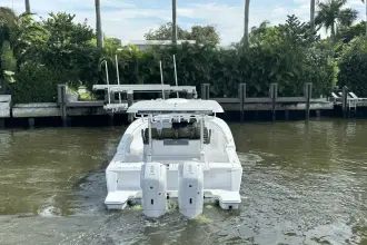 Thumbnail von Bertram 39 CC