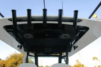 Thumbnail von Scout 305 LXF