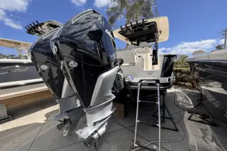 Thumbnail von Scout 305 LXF