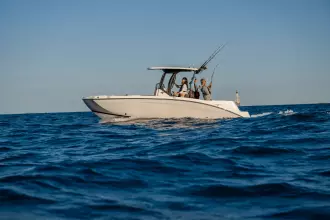 Thumbnail von Yamaha 255 FSH Sport H