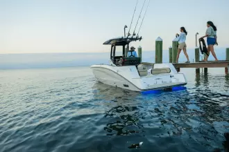 Thumbnail von Yamaha 255 FSH Sport H