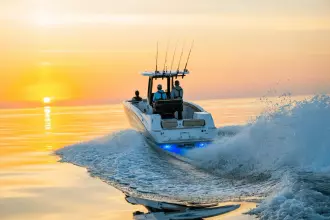 Thumbnail von Yamaha 255 FSH Sport H