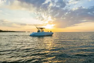 Thumbnail von Yamaha 255 FSH Sport H