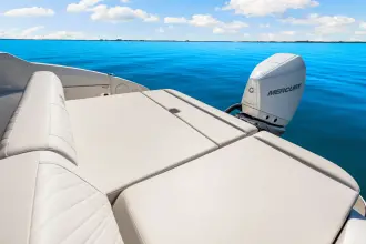 Thumbnail von Sea Ray SDX 250 Outboard