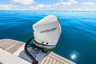 Thumbnail von Sea Ray SDX 250 Outboard