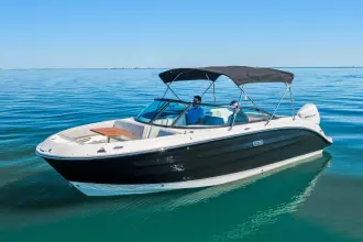 Thumbnail von Sea Ray SDX 250 Outboard