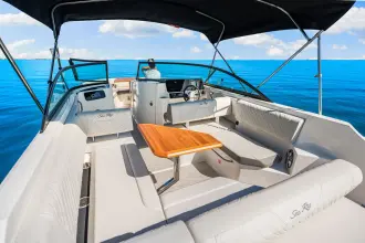 Thumbnail von Sea Ray SDX 250 Outboard