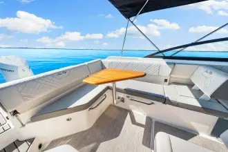 Thumbnail von Sea Ray SDX 250 Outboard