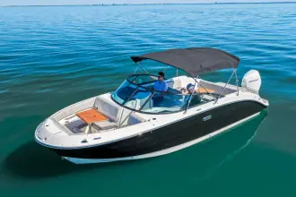 Thumbnail von Sea Ray SDX 250 Outboard