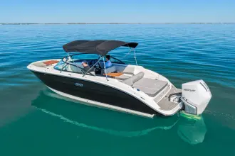 Thumbnail von Sea Ray SDX 250 Outboard