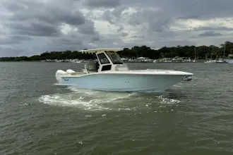 Thumbnail von Scout 260 LXF