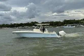 Thumbnail von Scout 260 LXF