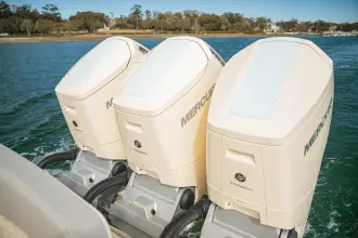 Thumbnail von Scout 425 LXF