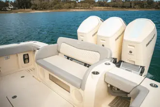 Thumbnail von Scout 425 LXF