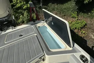 Thumbnail von Scout 281 XSS