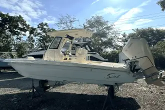 Thumbnail von Scout 281 XSS