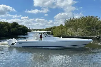 Thumbnail von Intrepid 41 Panacea