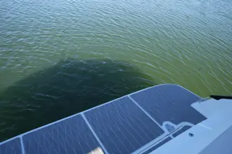 Thumbnail von Sea Ray 370 Sundancer