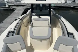 Thumbnail von Scout 305 LXF