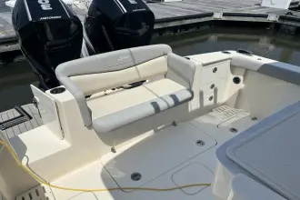 Thumbnail von Scout 305 LXF