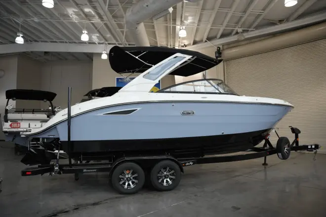 Sea Ray SDX 250 Surf