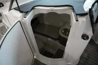 Thumbnail von Sea Ray SDX 250 Surf