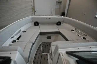 Thumbnail von Sea Ray SDX 250 Surf