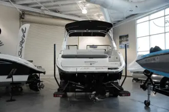 Thumbnail von Sea Ray SDX 250 Surf