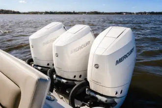 Thumbnail von Boston Whaler 350 Realm