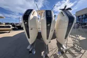 Thumbnail von Scout 357 LXF