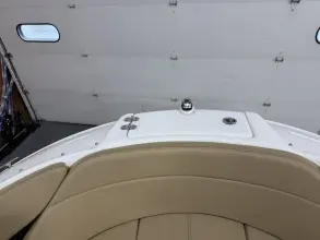 Thumbnail von Sea Ray SPX 230 Outboard