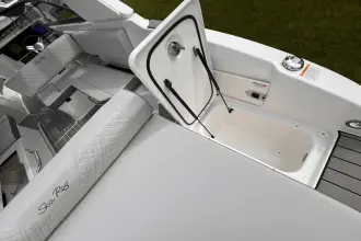 Thumbnail von Sea Ray SDX 270 Outboard