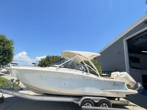 Thumbnail von Scout 255 Dorado